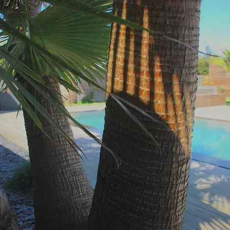 Les Cocons Du Bassin - Cocon 